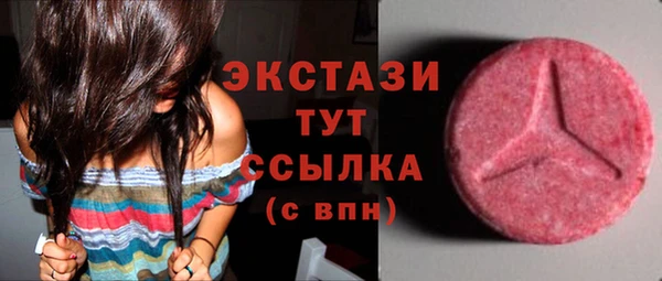 СК Новозыбков