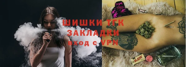 СК Новозыбков