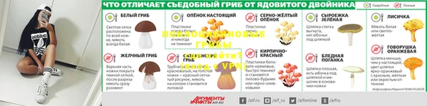 СК Новозыбков