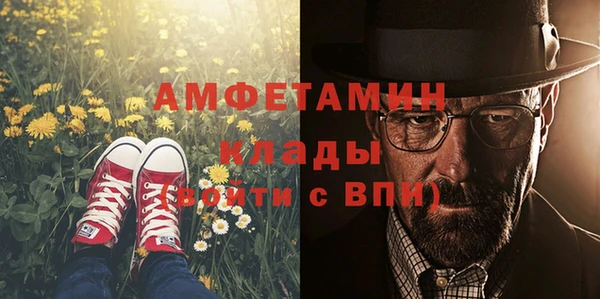 СК Новозыбков
