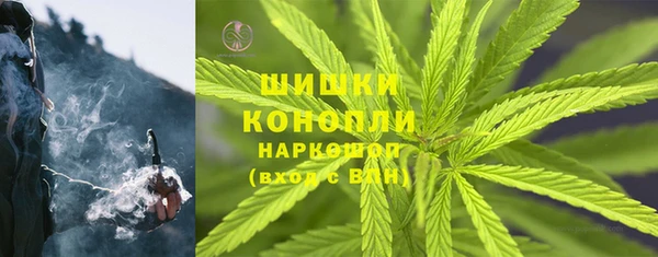 СК Новозыбков