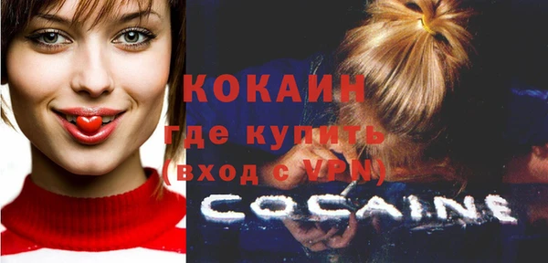 СК Новозыбков