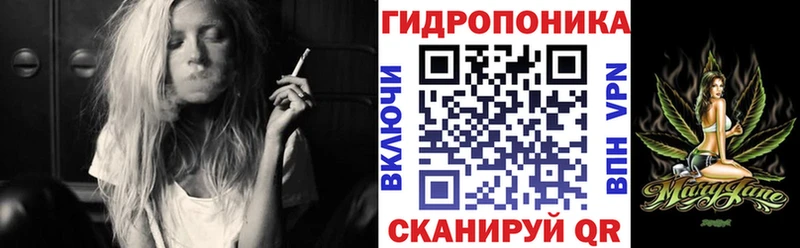 закладки  Беломорск  Бошки Шишки VHQ 